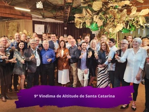 VINDIMA 2024: Uma década de Vindima de Altitude de Santa Catarina